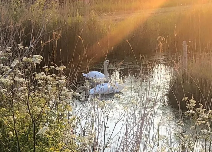 Le Clos Des Lys, Maison De Pays Proche De La Mer, Linge Inclus